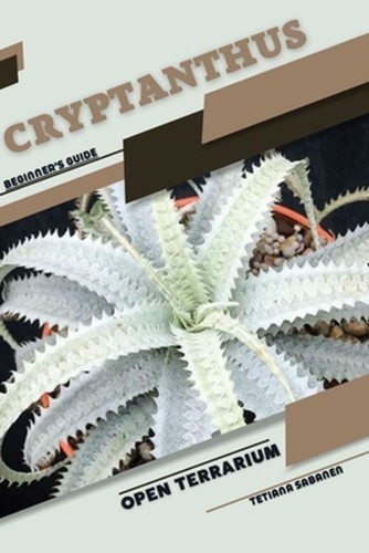 Cryptanthus open terrarium - cryptanthus:,